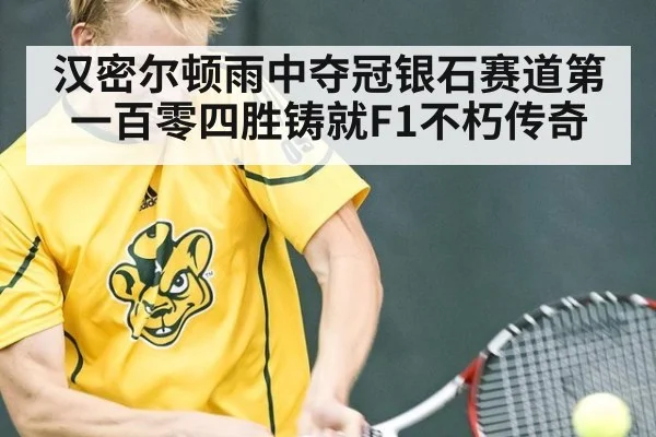 汉密尔顿雨中夺冠银石赛道第一百零四胜铸就F1不朽传奇
